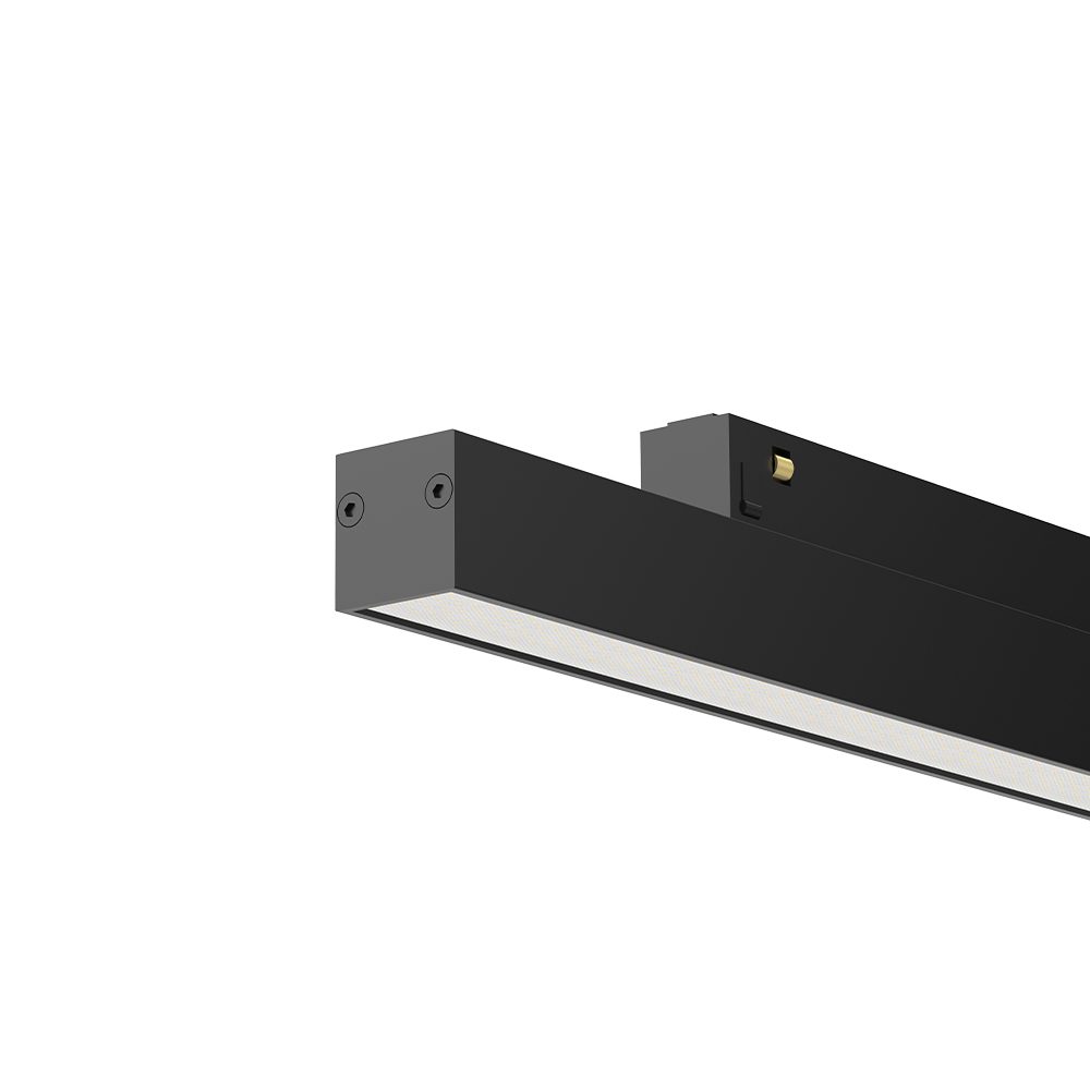 DC48V magnetic linear module, 300 mm, black finish